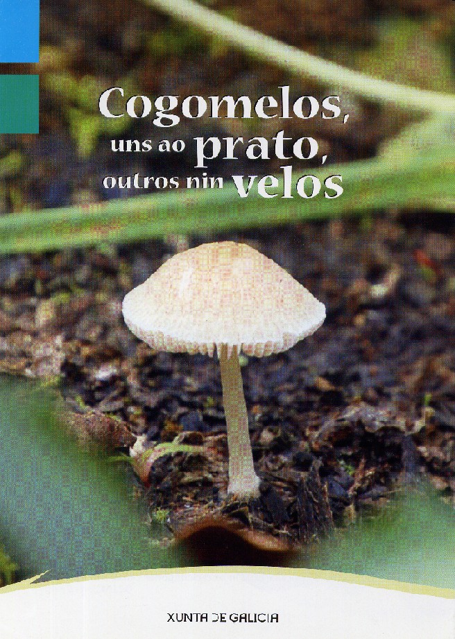 Portada da publicación