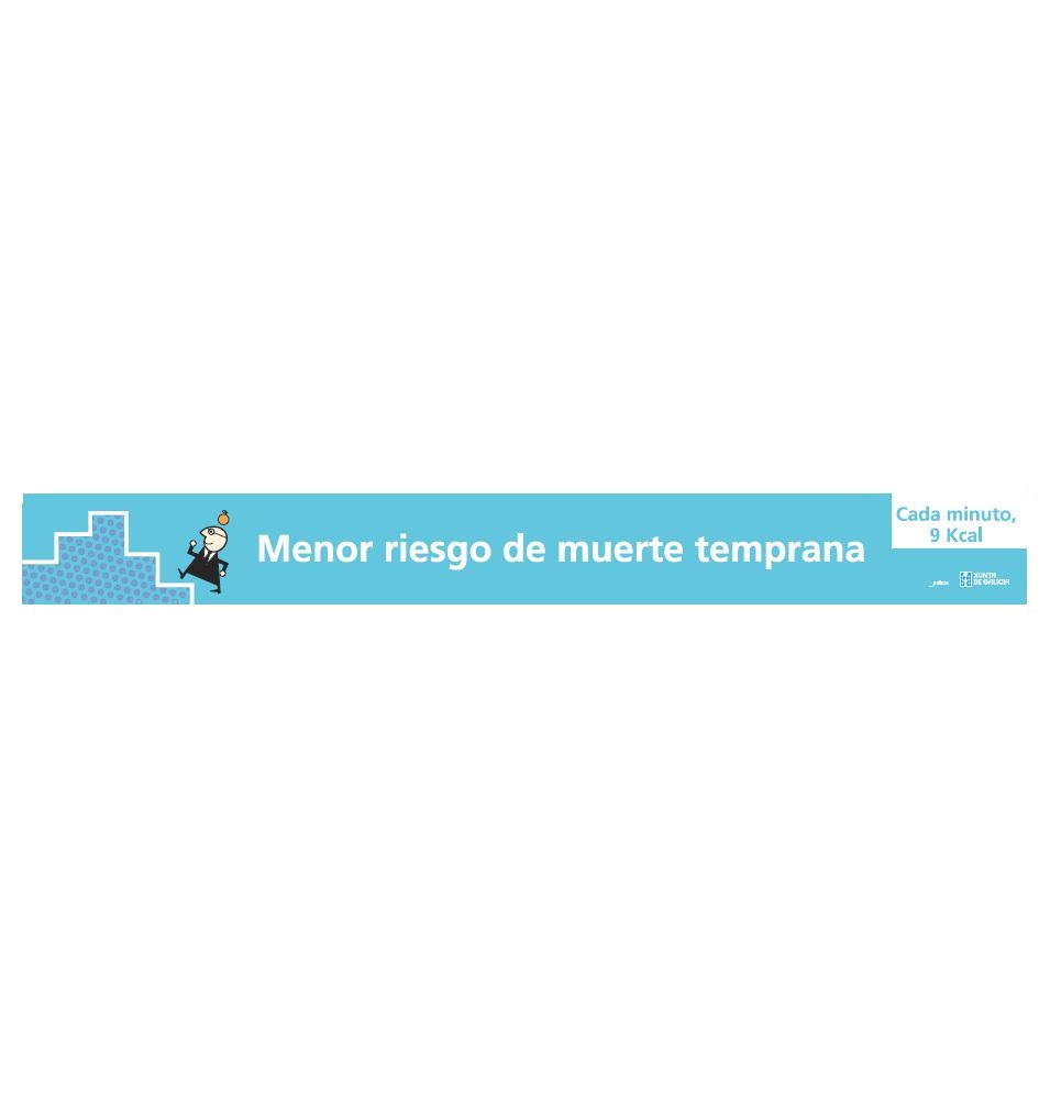 Portada da publicación