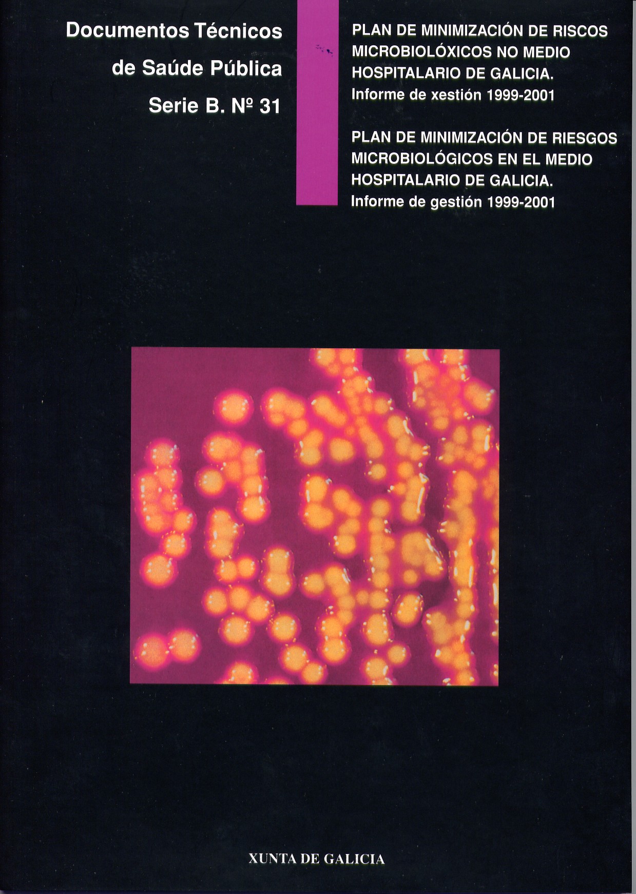 Portada da publicación