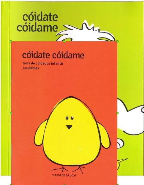 Portada da publicación