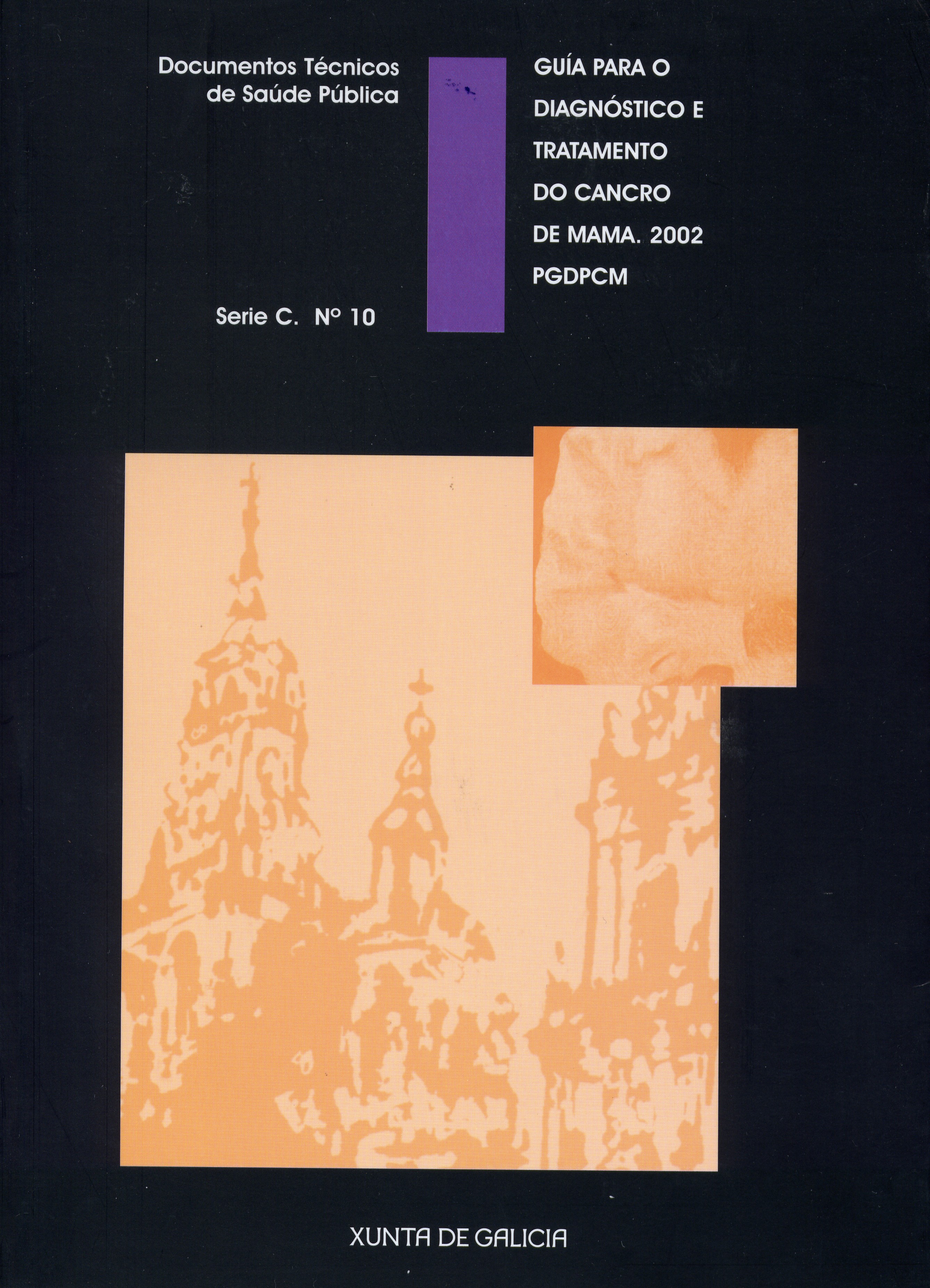 Portada da publicación